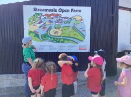 P1 Streamvale Farm Trip