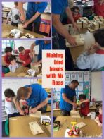 Making Bird Houses