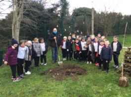 Eco-Schools Tree Planting