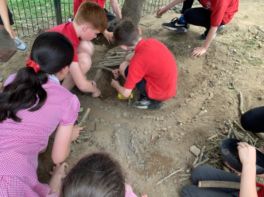 Primary 6 outdoor play