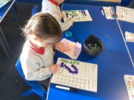 Primary learning all about number!