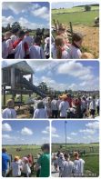 P4 Trip to Streamvale Farm 