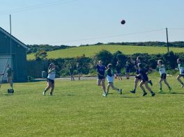 Cumann Na mBunscol