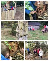 Our Autumn Walk