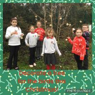 Decorate a tree for the birds this Christmas!!