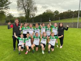 County final highlights