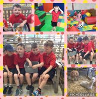 P2 Trip to Laganvale Farm