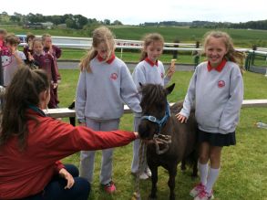 Downpatrick Racecourse ‘Go Racing Kids' Club