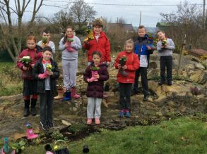 Wellington Boot Planting